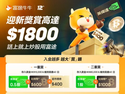 美国大选日，老虎国际交易订单量激增74%，盈利用户占比逾7成