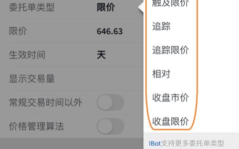 盈透证券IBKR订单类型详解与设置指引