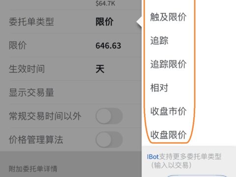 盈透证券IBKR订单类型详解与设置指引