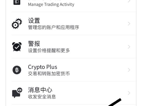 IBKR应用的账户菜单含转账交易设置警报消息中心2FA报表与税务帮助与反馈以及登出等条目