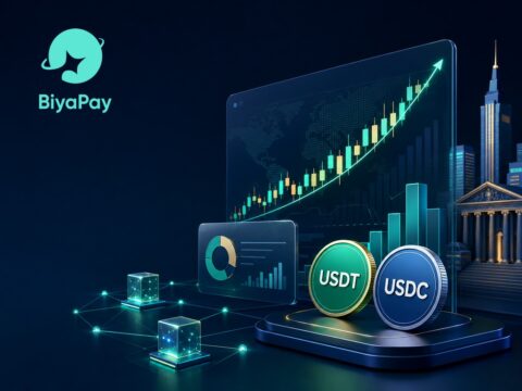 BiyaPay美股开户：如何在BiyaPay配置全球金融资产？